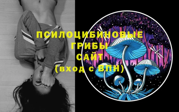 гидра Балахна